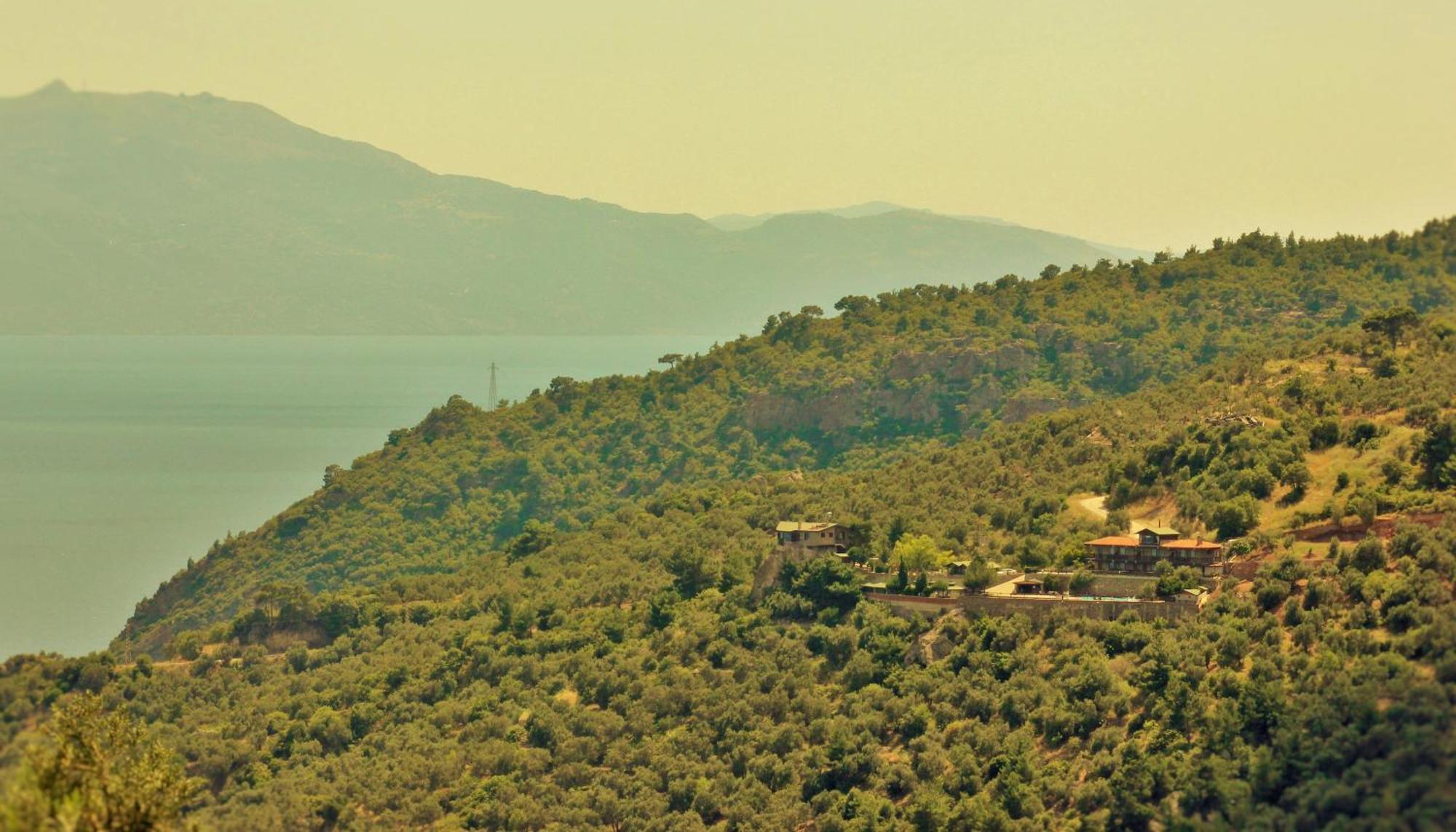 Assos Kartal Yuvasi Hotel Sazlı Esterno foto